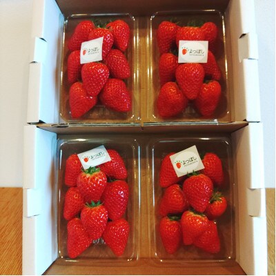 ❤ほぼ無農薬❤甘い真っ赤っか❤ゆうべにいちご❤2k✖️2箱6300円クール送料込 ほぼ無農薬❤甘～い真っ赤っか❤ゆうべにいちご❤2k✖️