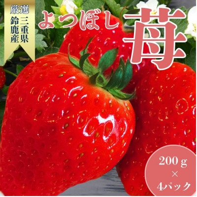 2027冬先行予約!朝採り「よつぼし」200g×4パック　1月以降順次発送