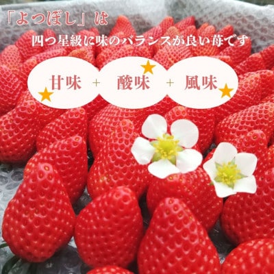 2026冬先行予約!よつぼし　いちご　     200g×4パック　三重県　鈴鹿市産