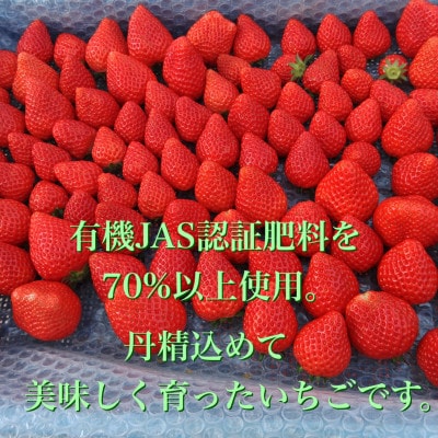2025冬先行予約!よつぼし　いちご　     200g×4パック　三重県　鈴鹿市産