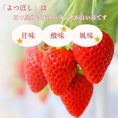 2026冬先行予約!よつぼし　いちご　     200g×4パック　三重県　鈴鹿市産