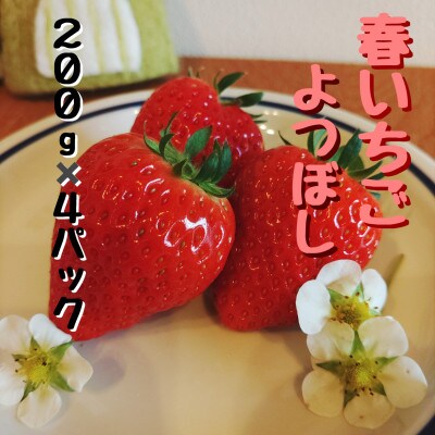 春いちご　よつぼし　200g×4パック　みえの安心食材認証