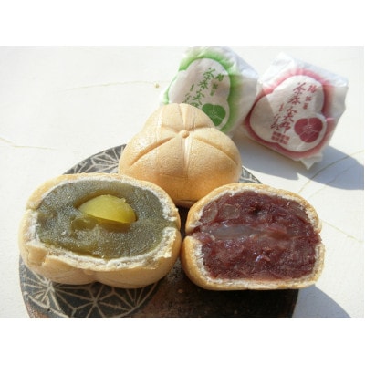 鈴鹿市銘菓とお茶のセットA　和菓子4種5個とかぶせ茶30g×10袋入り　