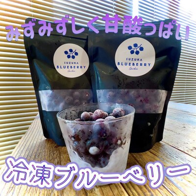 鈴鹿山麓ブルーベリー(冷凍) 200g×2パック