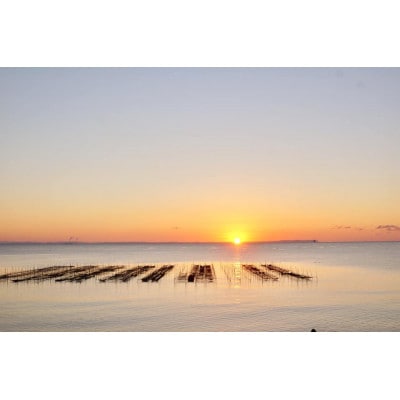 『あの味が忘れられない』と全国から /子どもたちに大人気!炙って食べる香ばしい海苔「やだのり」70枚