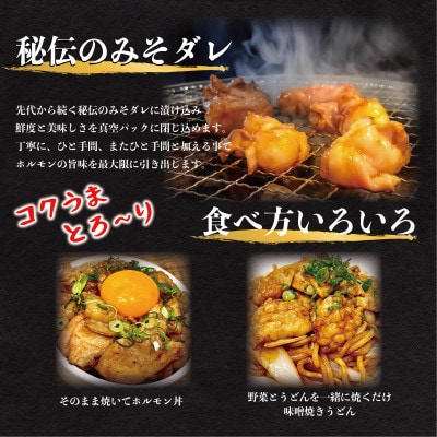 みそ漬けホルモン 【内容量】約800g