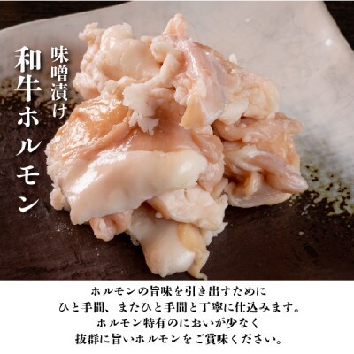 みそ漬けホルモン 【内容量】約800g