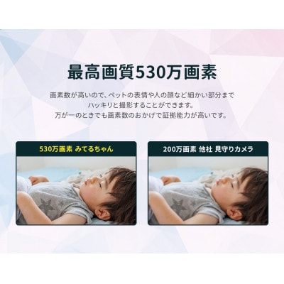 みてるちゃん たまご 500万画素 見守りペットカメラ 防犯カメラ WTW-IPW308TGW