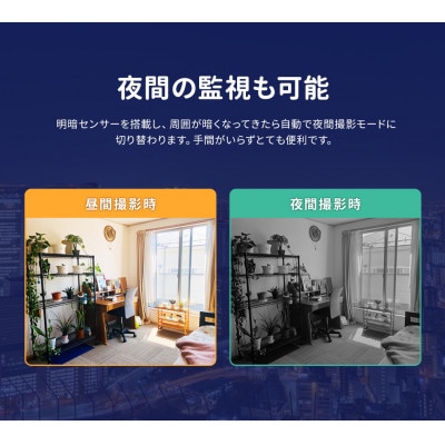 みてるちゃん たまご 500万画素 見守りペットカメラ 防犯カメラ WTW-IPW308TGW