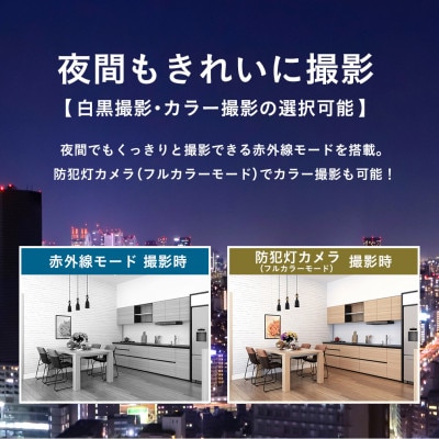 みてるちゃん5Plus ガンメタ 防犯カメラ 監視カメラ 屋外 家庭用WTW-EGDRY388GBX