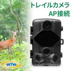 トレイルカメラ 4200万画素 監視・防犯カメラ 乾電池 電源不要 WTW-TC31AP