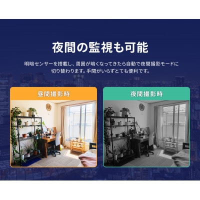 みてるちゃん猫23 見守りペットカメラ 防犯カメラ 16GBMicroSD付 WTW-IPW266W