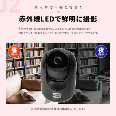 防犯カメラ 見守りペットカメラ みてるちゃん猫 黒 WTW-IPW248B
