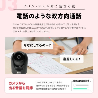 防犯カメラ 見守りペットカメラ みてるちゃん猫 黒 WTW-IPW248B