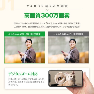 PTZソーラー充電 低照度監視・防犯カメラ バッテリー12,000mAh WTW-WSP12-BM