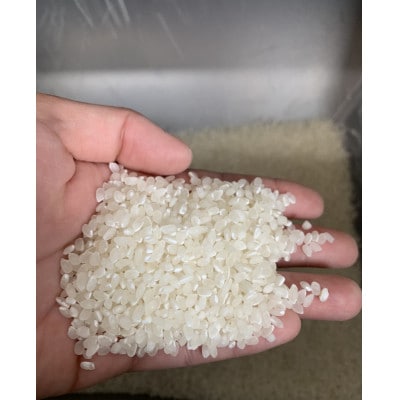 米　コシヒカリ　白米　4kg