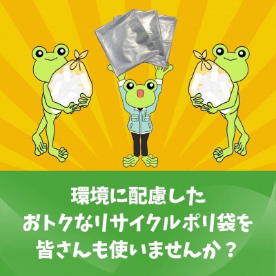 エコリズム(リサイクルポリ袋)45L 200枚(0.04×650×800)