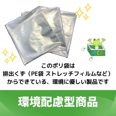 エコリズム(リサイクルポリ袋)20L 500枚(0.025×500×600)