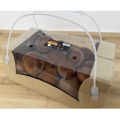 肉厚ぷりぷり!食べ応え抜群!不揃いで様々な用途に!「キレイな」しいたけ1kg!