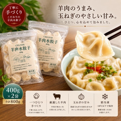 羊肉水餃子