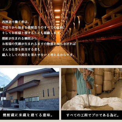 【ふるさと納税限定】薩摩宝山パック6本入り【西酒造】