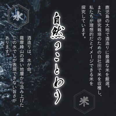 天賦 純米酒　300ml×7本セット