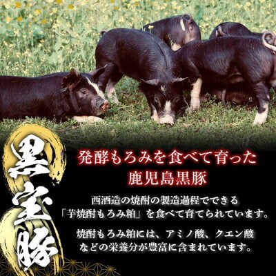 黒宝豚餃子16個入×3パック