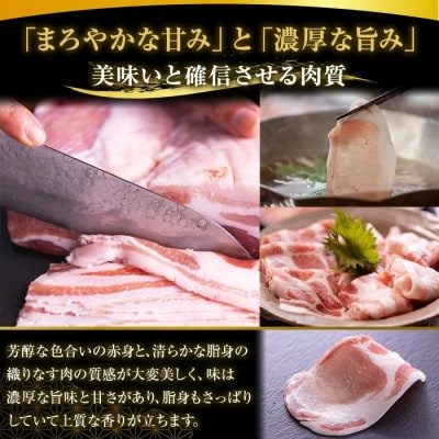 高級かごしま黒豚「黒宝豚」300g×3パック