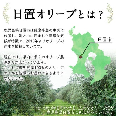 観葉植物 オリーブの木 (1本) 鹿児島県産オリーブの苗