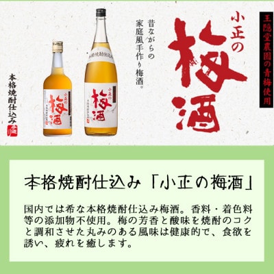 小正のリキュール1升瓶3本セット(1800ml×3本:すもも酒、ゆず酒、梅酒)