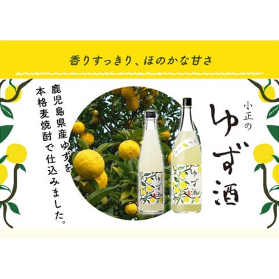 小正のリキュール1升瓶3本セット(1800ml×3本:すもも酒、ゆず酒、梅酒)