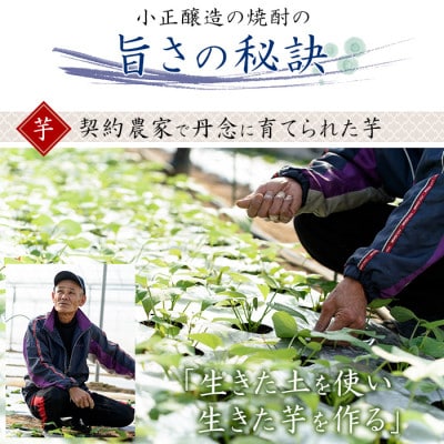 本格焼酎ふるさと鹿児島限定4本セット(各900ml)