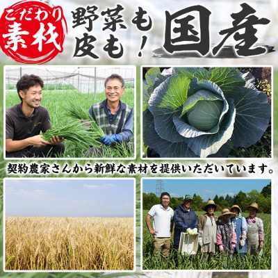 黒豚餃子計168個(12個入り×14パック)鹿児島の黒豚肉・国産野菜を使ったぎょうざセット