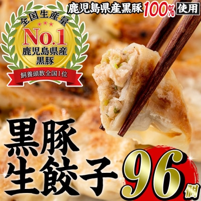 黒豚餃子計96個(12個入り×8パック)鹿児島の黒豚肉・国産野菜を使ったぎょうざセット