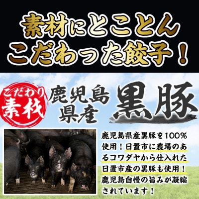 黒豚餃子計96個(12個入り×8パック)鹿児島の黒豚肉・国産野菜を使ったぎょうざセット