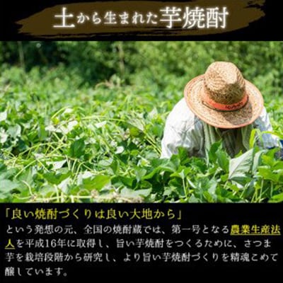 【毎月定期便】南国酒造の厳選芋焼酎定期便Aコース(1800ml×6本)全6回