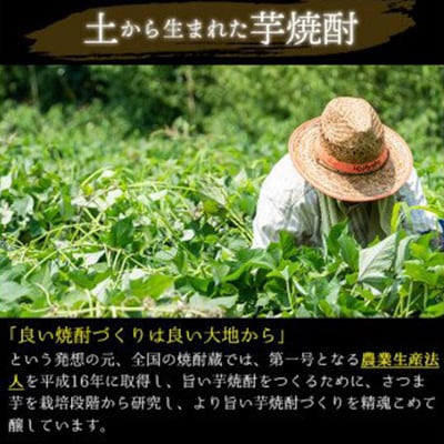 【毎月定期便】南国酒造の厳選芋焼酎定期便Bコース(1800ml×6本)全6回
