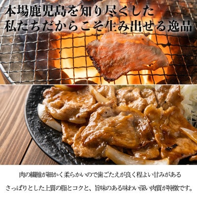黒豚ロース合計600g(150g×4パック)(日置市)