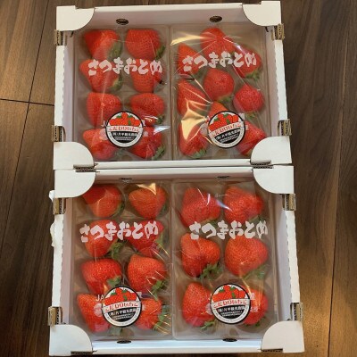さつまおとめ 約1.1kg