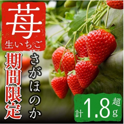 さがほのか 約1.8kg
