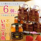 手作りいちごジャム・不知火ジャム　6本セット