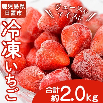 冷凍いちご 中粒 計約2kg(約1kg×2パック) 鹿児島県 日置市【片平観光農園】No.229