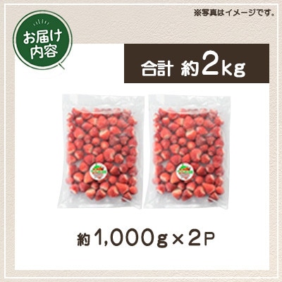 冷凍いちご 中粒 計約2kg(約1kg×2パック) 鹿児島県 日置市【片平観光農園】No.229