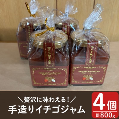 手造りイチゴジャム 計800g(約200g×4本) 鹿児島県産 いちご【片平観光農園】No.1182