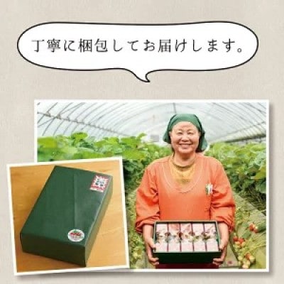 手造りイチゴジャム 計800g(約200g×4本) 鹿児島県産 いちご【片平観光農園】No.1182