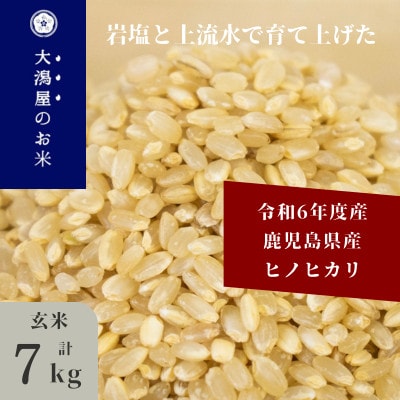 令和6年産　鹿児島県産ヒノヒカリ玄米　計7kg