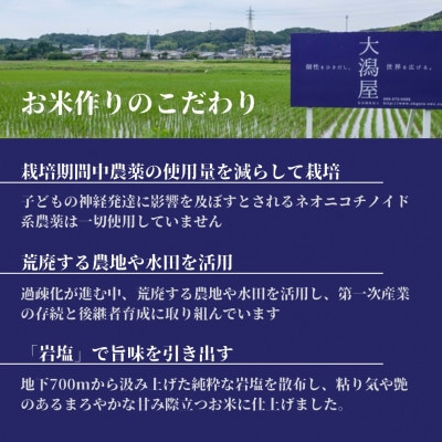 令和6年産　鹿児島県産ヒノヒカリ玄米　計12kg