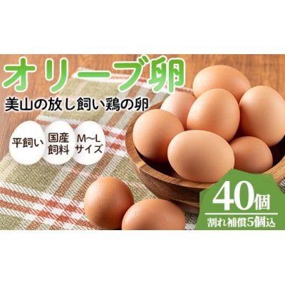 鹿児島県産美山オリーブ卵(40個)