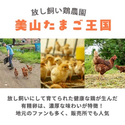 鹿児島県産美山オリーブ卵(40個)