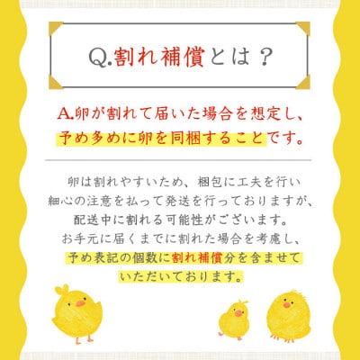 鹿児島県産美山オリーブ卵(40個)